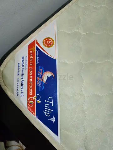 Tulip Medical Plus Mattress