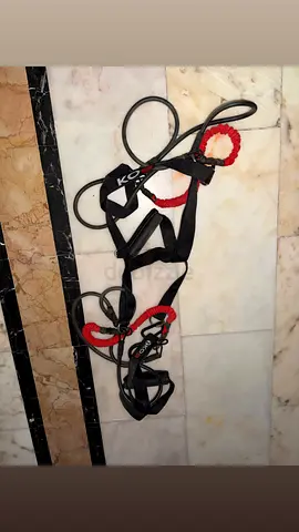 exercises  equipments