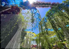 High-Floor 1BR | Multiple Views | Modern Finish | Prime Location