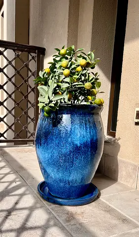 Medium Hand-Blown Blue Ceramic Pot from Portugal – 50 cm Height