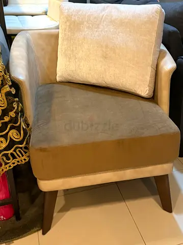 Stylish Armchair lather with velvet with Cushion