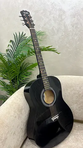 acoustic guitar