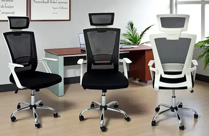 Brand New Ergonomic Office Chair