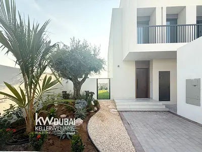 T Junction | Corner | Large Plot