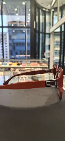 Brown framed sunglasses — lightly used