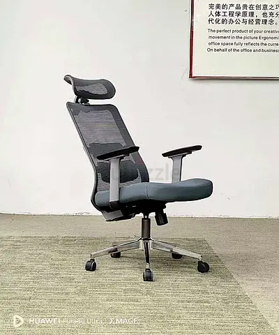 Ergonomic Office Chair  Mdl : 2243