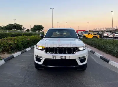 40% OFF Discount - Free Delivery- Tabby Available- Best Price