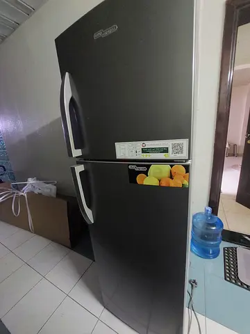 Modern double-door refrigerator