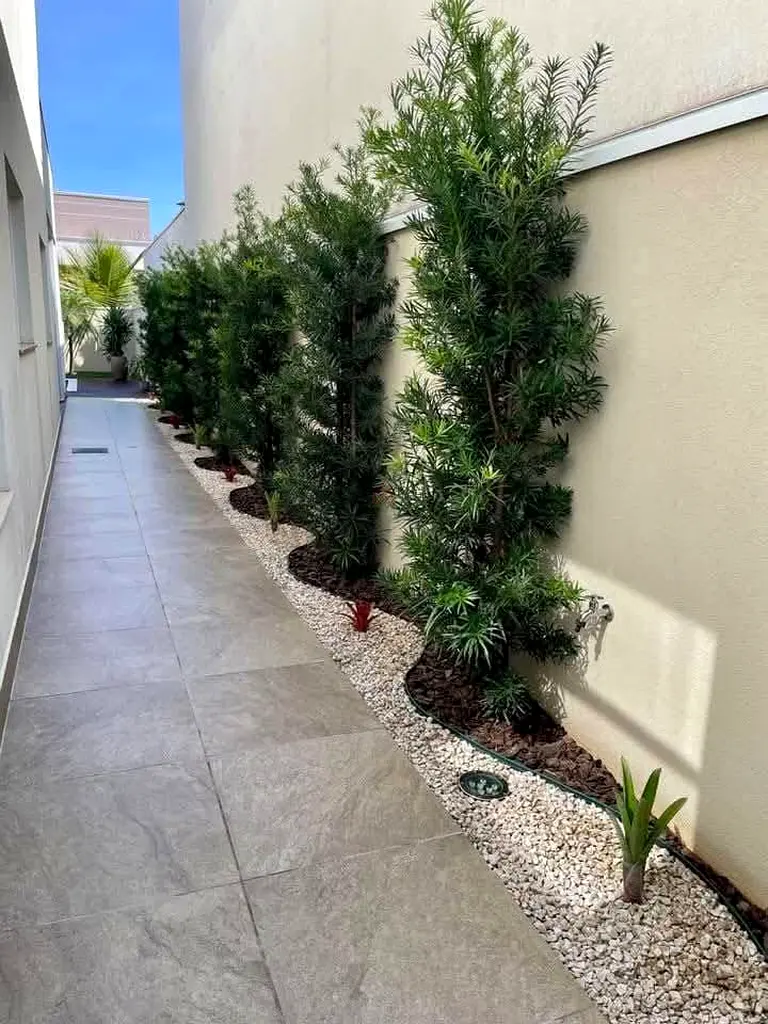 DPV_View_Image_7