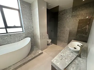 Modern Bathroom with Elegant Bathtub and Sink