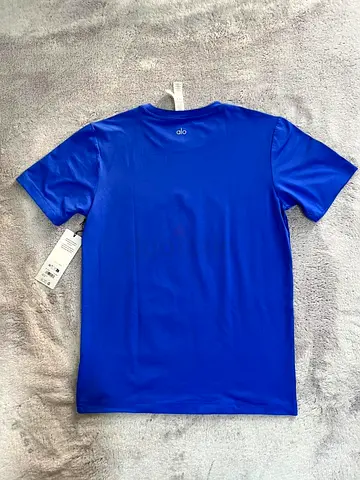 Alo Essential Short Sleeve Street Tee (Blue)