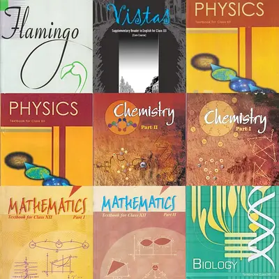 Class 12 Cbse textbooks and guides