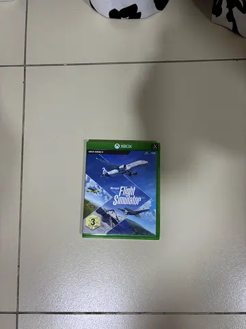 Microsoft flight simulator