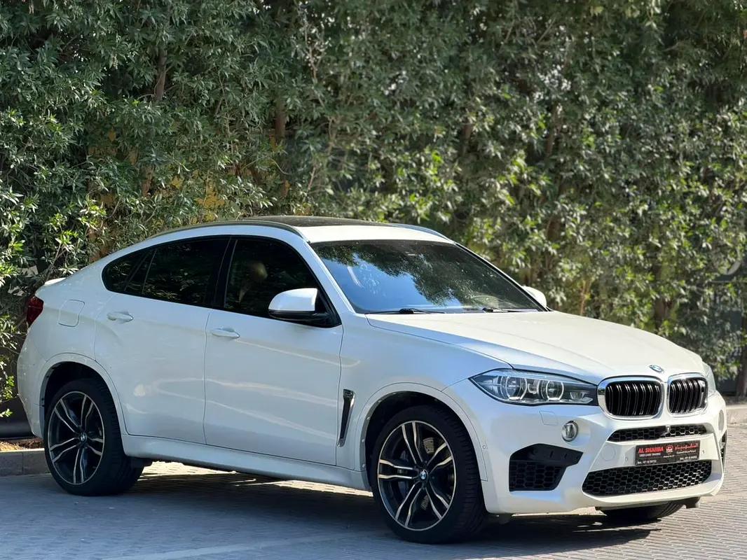 BMW X6 2016 — photo 1 of 8