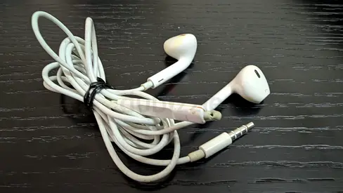 Wired Earphones