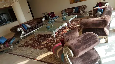 Elegant Living Room Furniture Set