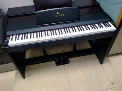 Steiner Digital Piano with Stand