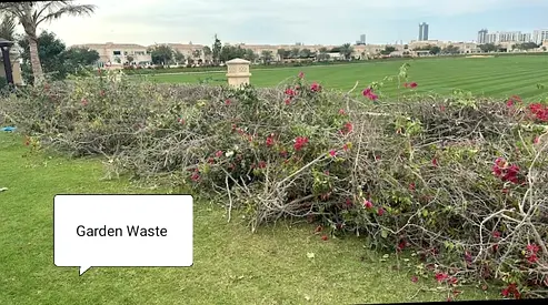 Garden Waste Removal