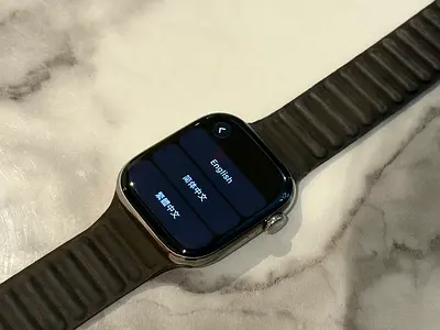 Apple Watch Series 10 titanium bands original