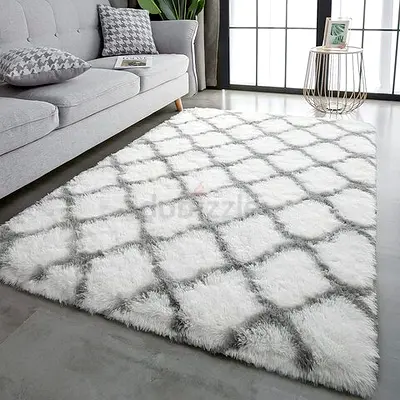 Soft Plush Area Rug with Modern Design