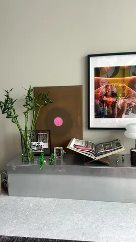 Unique Decorative Items and Art Collection