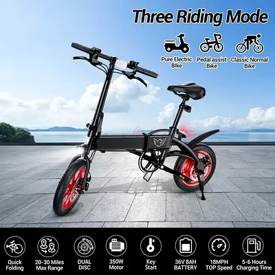 Wind Horse C19 Folding Electric Bike
