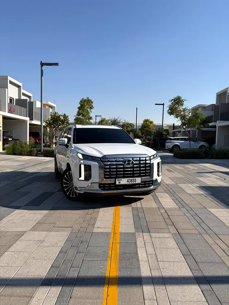 Hyundai Palisade 2023 — photo 1 of 15