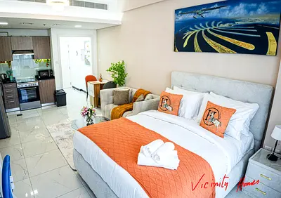 Fully Furnished Studio JVC with bills direct from owner Near Circle Mall