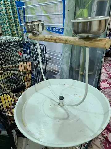 Dual Feeding Station for Pets