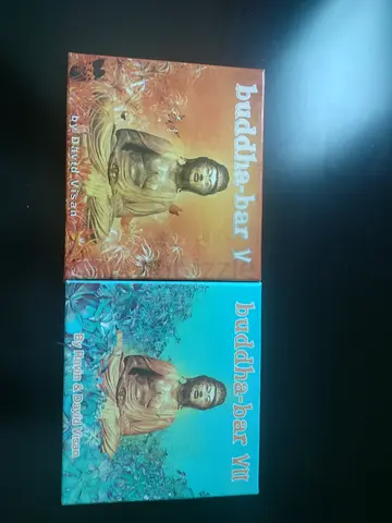 Buddha-Bar VI and VII CD Collection