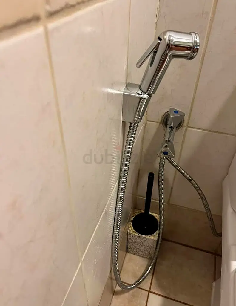 DPV_View_Image_3