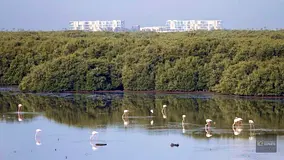 PARK VIEW | PARTIAL SEA VIEWS | AVAIL NOW