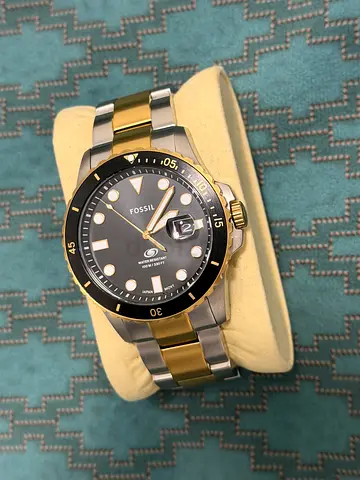 Fossil Watch
