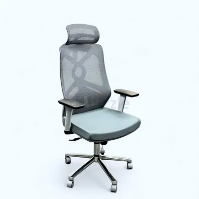 Ergonomic Office Chair 2259