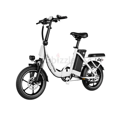 Wind Horse W2 B Electric Bike, Black