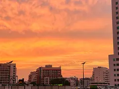 1 Bed Apt * Well Maintained * With Parking