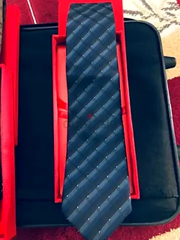 Elegant Mens Tie ( Brioni brand)