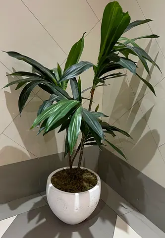 Beautiful Artificial Plant in Elegant Pot