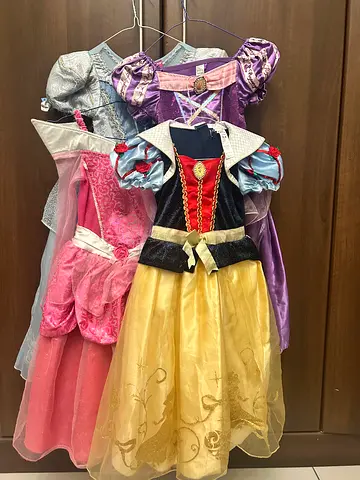 Disney Princess dresses
