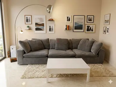 Pan home feather 🪶 filled pianca Modular sofa