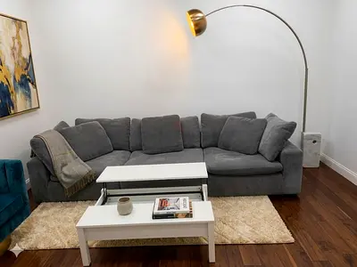 Pan home pianca feather 🪶 filled modular sofa