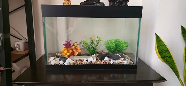 Beautiful fish tank with Decorative Plants