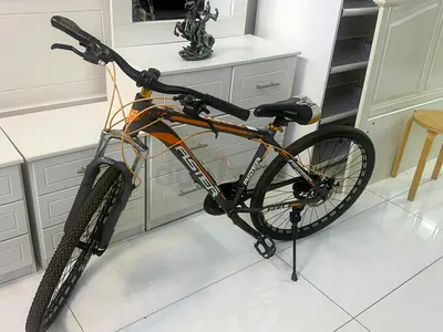 Aster L-600 bicycle
