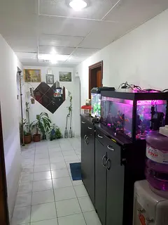 Bed Space Available for Executive Bachelor