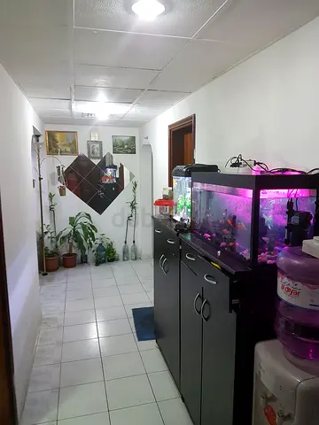 Bed Space Available for Executive Bachelor