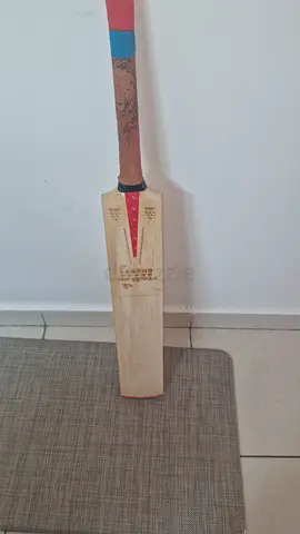 Hardball professional cricket bat with slight dents and damaged grips