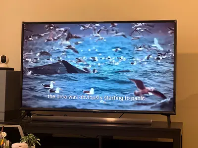 LG 50-inch LED TV - Crisp Display and Smart Features