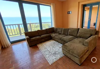 Crate and Barrel axis feather filled U shape sofa