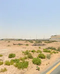 🚀 Premium Investment Opportunity in sajaa For Forward-Thinking Investors!