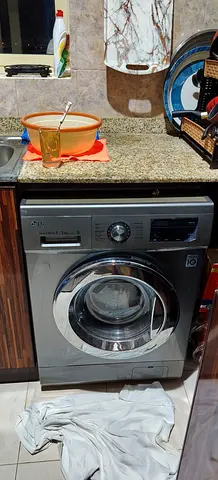 رأس الخيمه - النخيل